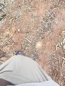 ActiveDick Telugu online show from March 20, 2026, 6:14 am