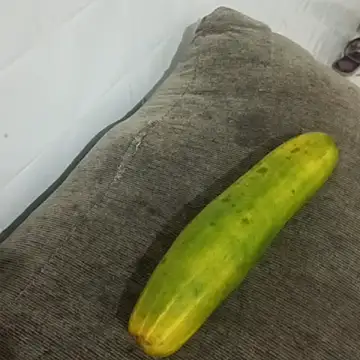 Snapshot of puta_casada chatting on March 7, 2026, 3:02 am puta casada online show from March 7, 2026, 3:02 am