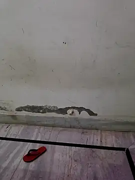 Itz ishu online show from April 4, 2026, 11:39 am