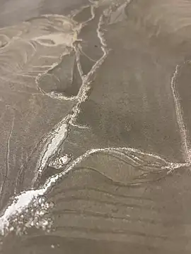 Snapshot of sharks90 chatting on March 19, 2026, 5:07 am sharks90 online show from March 19, 2026, 5:07 am