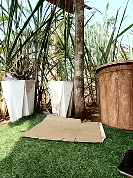 Tini-mimi online show from April 3, 2026, 1:23 am