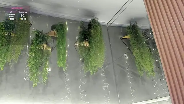 Amira Latif online show from April 18, 2026, 7:07 pm