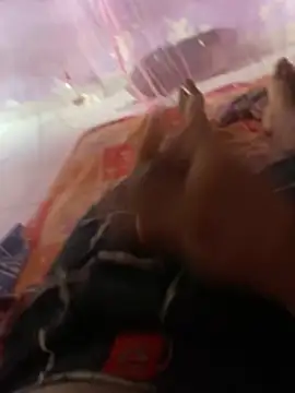 badgirl0808 online show from March 16, 2026, 3:25 am