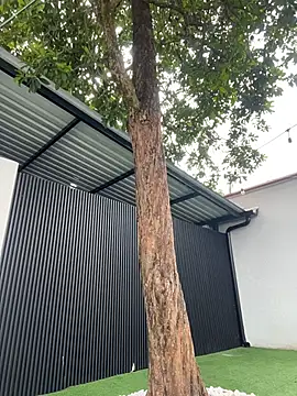 Bella-Ferrer online show from March 14, 2026, 6:25 pm