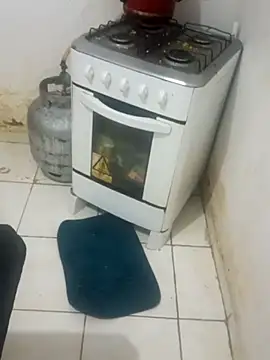 vereadora online show from March 14, 2026, 12:44 pm