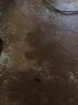 ranga-1984 online show from March 19, 2026, 6:46 am