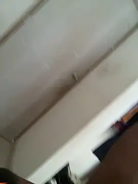 horsepassion online show from April 7, 2026, 4:31 pm