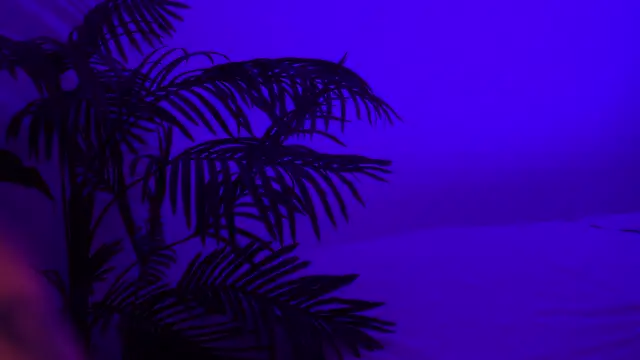 SweeetMila online show from April 13, 2026, 4:11 pm