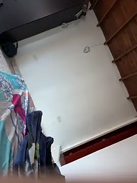 Bruno beast online show from March 20, 2026, 11:55 am