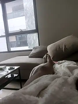 Snapshot of junzi0877 chatting on March 16, 2026, 3:14 am junzi0877 online show from March 16, 2026, 3:14 am