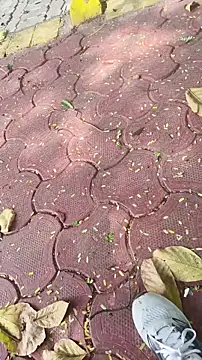 xyz 2giT online show from March 20, 2026, 4:57 am