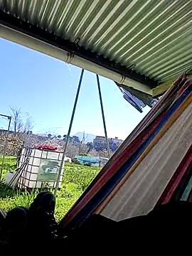 freedick93 online show from March 17, 2026, 1:58 pm