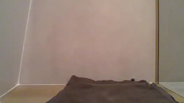 Snapshot of Essie_deLona chatting on March 24, 2026, 8:25 am Essie deLona online show from March 24, 2026, 8:25 am