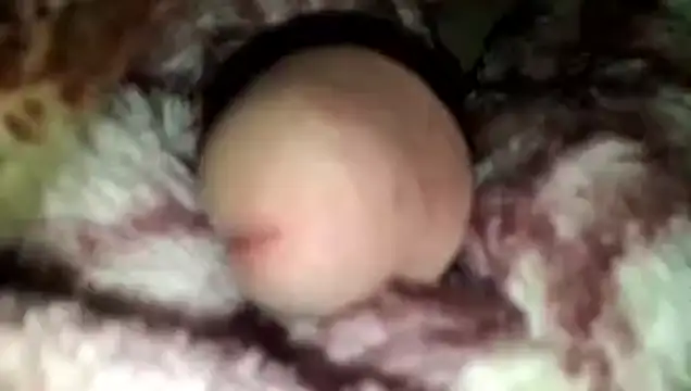 yarar can online show from March 27, 2026, 9:49 pm