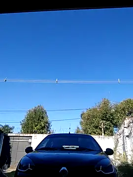 Snapshot of Switzerland32 chatting on April 12, 2026, 8:56 pm Switzerland32 online show from April 12, 2026, 8:56 pm