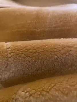 Snapshot of Ashwak_trans chatting on April 4, 2026, 12:01 pm Ashwak trans online show from April 4, 2026, 12:01 pm