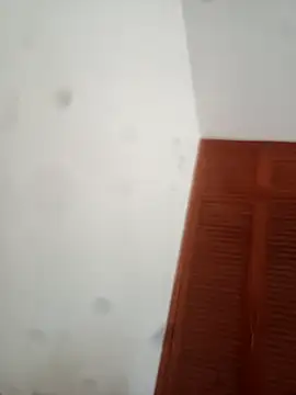 Snapshot of goldboy_0069 chatting on April 3, 2026, 9:10 pm goldboy 0069 online show from April 3, 2026, 9:10 pm