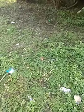 Snapshot of junedkhan99 chatting on April 3, 2026, 3:02 am junedkhan99 online show from April 3, 2026, 3:02 am