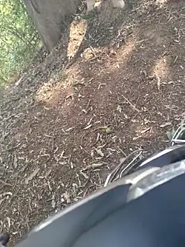 Snapshot of junedkhan99 chatting on April 13, 2026, 3:32 am junedkhan99 online show from April 13, 2026, 3:32 am