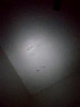 Loveallpeace online show from March 27, 2026, 8:26 am