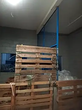 yshikawa online show from January 13, 2026, 10:03 pm