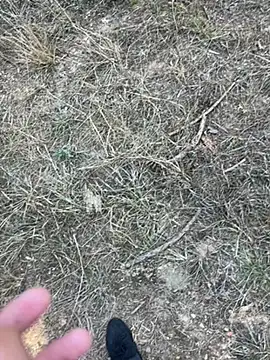 yingzi003 online show from April 7, 2026, 7:43 am