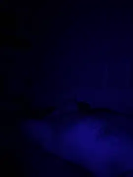 Snapshot of Diversified_Reality chatting on April 9, 2026, 10:43 am Diversified Reality online show from April 9, 2026, 10:43 am