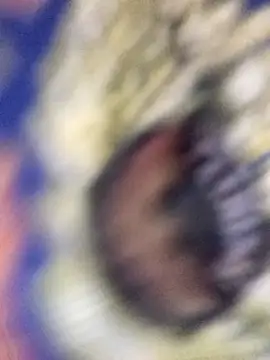 Bristy BigBoobs online show from April 23, 2026, 3:57 pm