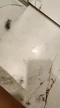 OBengaliBabuO online show from February 19, 2025, 8:44 am