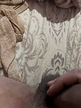 RapotorE online show from April 15, 2026, 3:05 pm