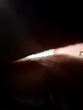 doggy69-dog online show from April 5, 2026, 9:27 am