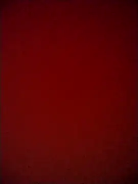 Shaniya03 online show from May 6, 2026, 3:16 pm