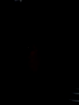  Jini  online show from April 28, 2026, 2:43 pm