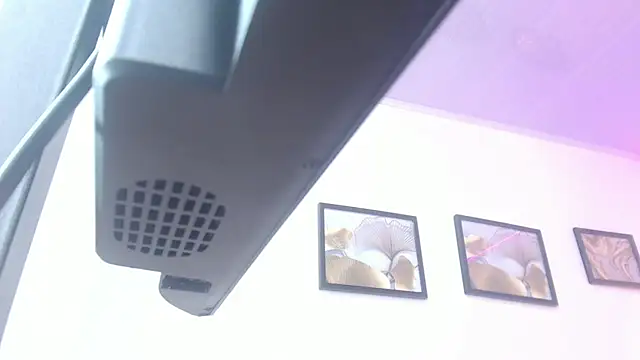 MoonBlue95 online show from May 9, 2026, 10:02 pm