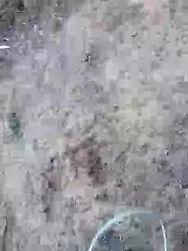 rocky play boy  online show from May 25, 2026, 11:53 am