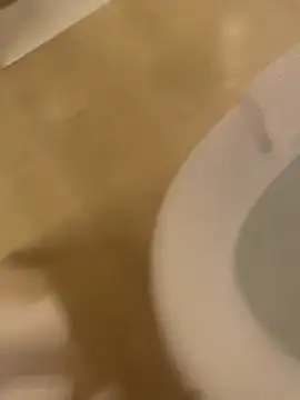 Alexxxa2102 online show from April 13, 2026, 5:17 pm