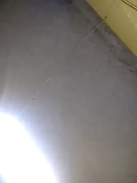 Snapshot of maicol6699 chatting on April 15, 2026, 11:38 am maicol6699 online show from April 15, 2026, 11:38 am