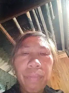 Melari online show from April 23, 2026, 11:05 am