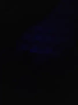 maddysins online show from May 20, 2026, 10:51 pm