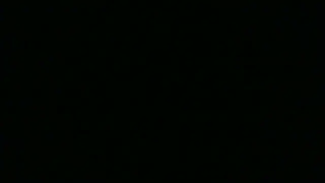 SamuelTal online show from May 26, 2026, 4:49 pm