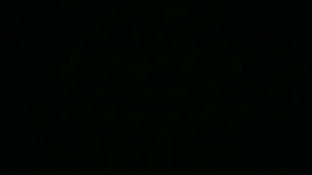 SamuelTal online show from May 19, 2026, 7:43 pm