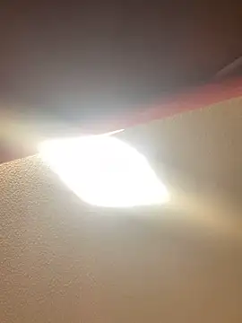 allyroseeee online show from May 14, 2026, 5:37 am
