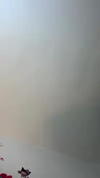 Snapshot of Eilicarver chatting on July 4, 2026, 12:43 pm Eilicarver online show from July 4, 2026, 12:43 pm