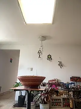 Snapshot of -Cattleya- chatting on June 10, 2026, 1:34 pm -Cattleya- online show from June 10, 2026, 1:34 pm
