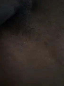 Bigcock9009 online show from June 30, 2026, 9:09 am