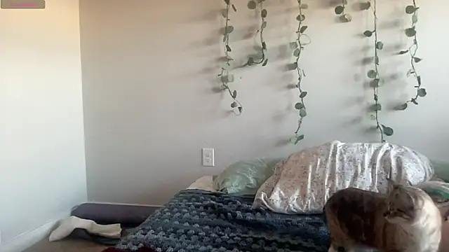 maddiliz online show from November 27, 2025, 9:48 pm