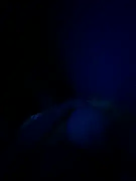 Snapshot of Felicxz chatting on June 17, 2026, 2:22 am Felicxz online show from June 17, 2026, 2:22 am