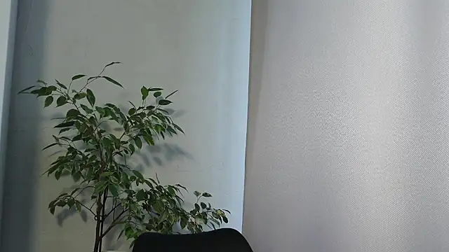 Snapshot of MariaTravel chatting on July 24, 2026, 2:35 pm MariaTravel online show from July 24, 2026, 2:35 pm