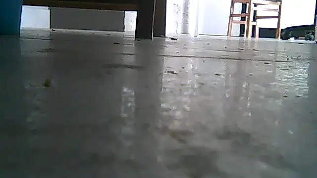 Snapshot of SirFrankonde chatting on August 1, 2026, 12:47 pm SirFrankonde online show from August 1, 2026, 12:47 pm