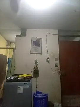 bxbicho20 online show from June 30, 2026, 1:49 am